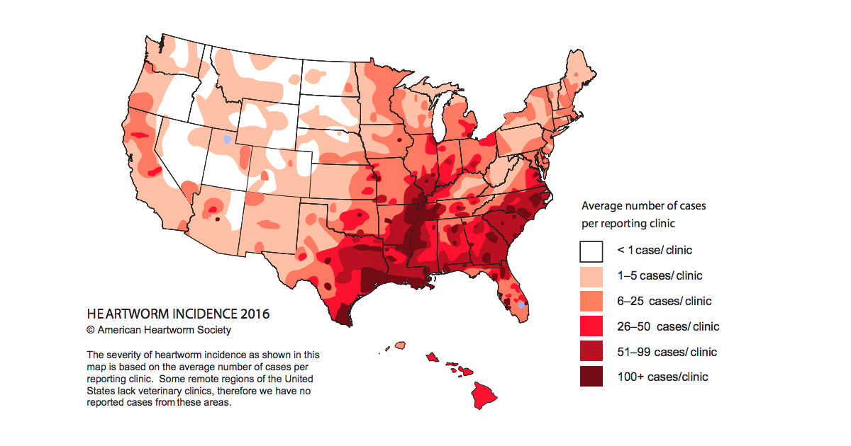 Image result for heartworm hotbeds