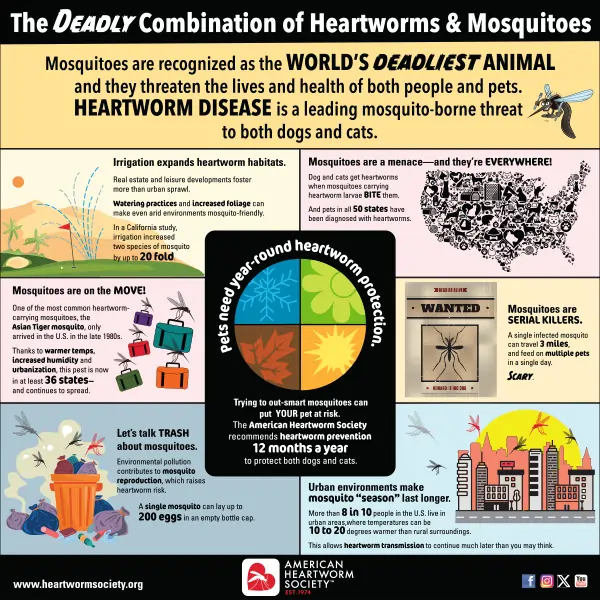 Images depicting all the ways mosquitoes are the world’s deadliest animal