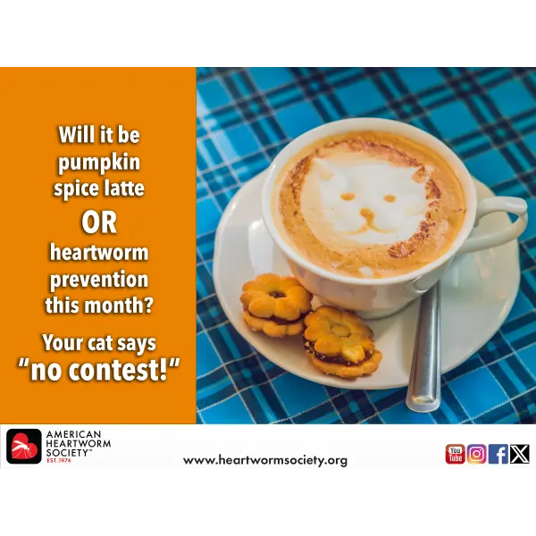 Holistic heartworm treatment deals