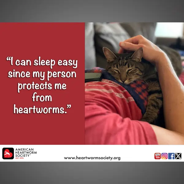 "I can sleep easy" 